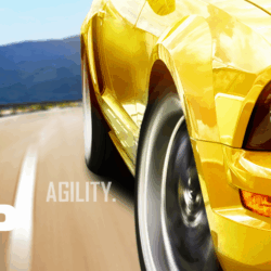 Intermotor Engine Management